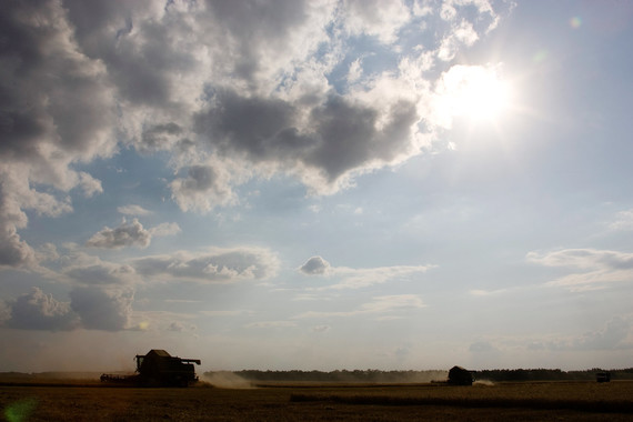 Минсельхоз США повысил прогноз урожая зерна в России до 93,3 млн тонн