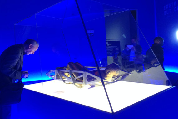 Выставка «Космонавты. Рождение космической эры» открылась в лондонском Музее науки