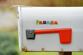 «Панамская» реакция