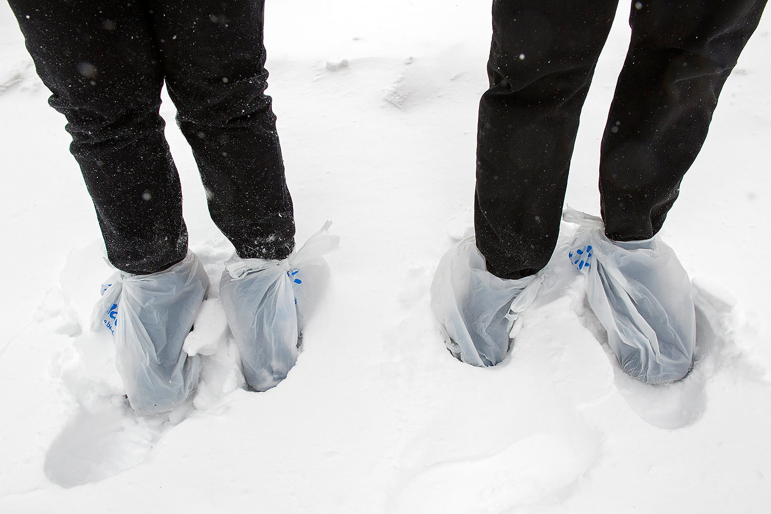 Фото Cliff Owen / AP  с сайта Ведомостей