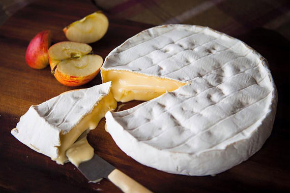 Шотландская Cows & Co планирует производить сыр в Ленобласти
