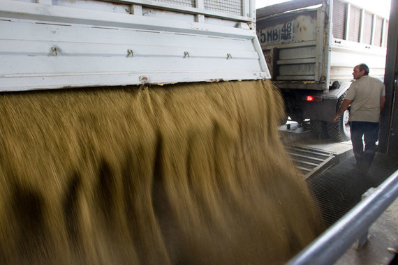 Экспортная пошлина на пшеницу будет обнулена на ближайшие два года