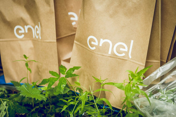 Enel получила предложения о покупке «Энел Россия»