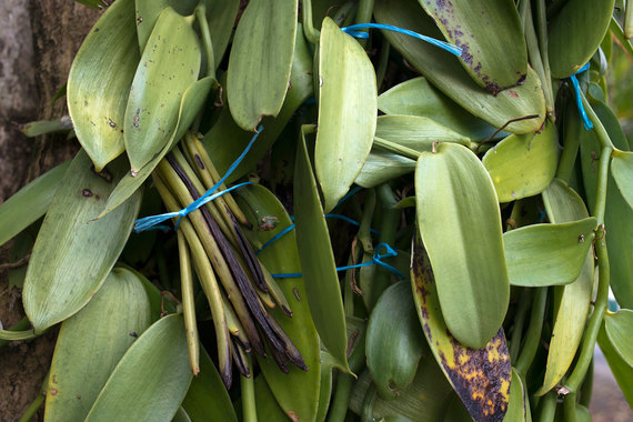 Сильнейшая буря уничтожила треть урожая ванили на Мадагаскаре