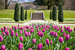 Цветущие тюльпаны в Лайм Парке – большом поместье в графстве Чешир