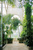 Оранжерея с тропичес­кими растениями; работа британского скульп­тора Генри Мура