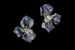 Cindy Chao Art Jewels, серьги Rose из коллекции Black Label, синие сапфиры, желтые и бесцветные бриллианты, белое золото, лак