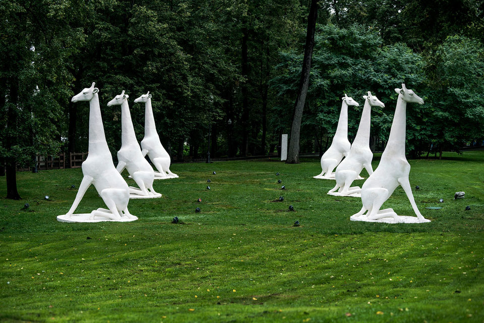 Инсталляция называется «Гости» и расположена в Парке Горького – это композиция из шести пятиметровых жирафов, выполненных из материала, имитирующего натуральный камень