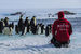 Во время экспедиции «Гомбесса III – Антарктика» команда Лорана Баллесты изучала не только подводный мир льдов Антарктики, но и ее наземную фауну