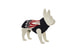 Вязанное прогулочное пальто собаки из совместной коллекции Poldo &amp; Moncler