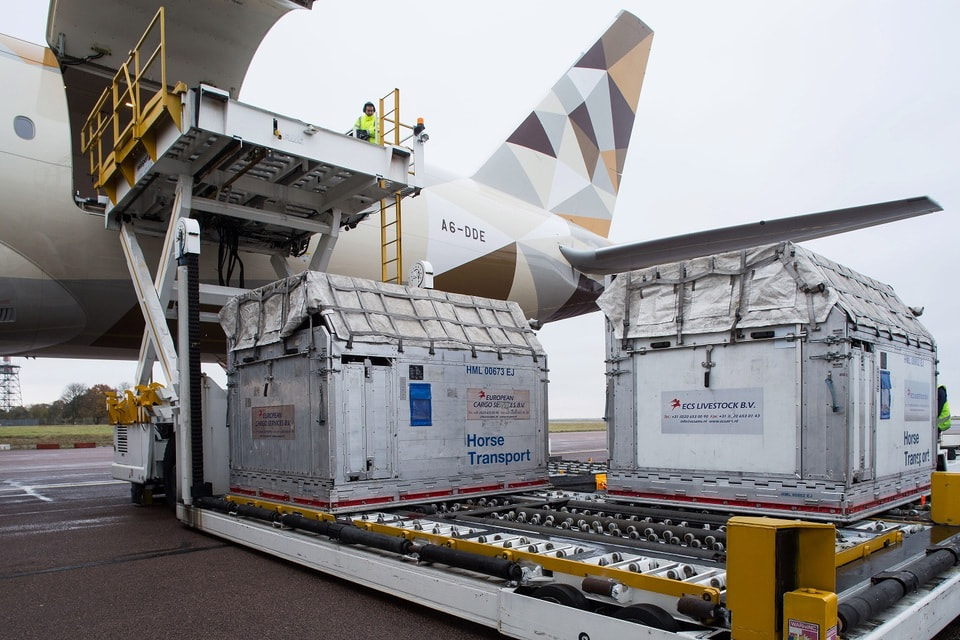 Авиапарк Etihad Cargo состоит из пяти широкофюзеляжных самолетов Boeing  777, способных единовременно перевозить до 75 лошадей и девяти конюхов