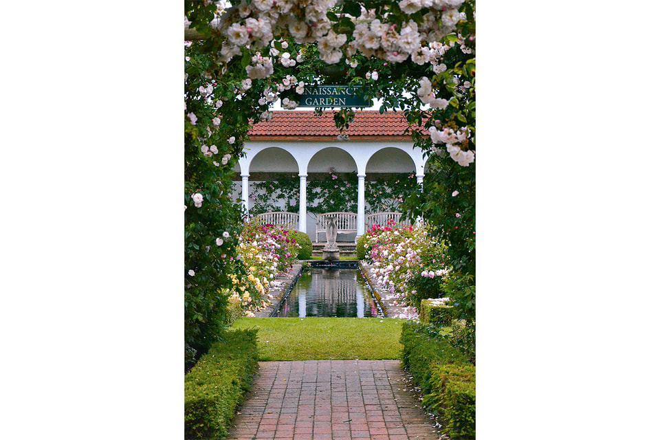Renaissance Garden, или сад Ренессанса. На переднем плане – розы сорта Adelaide d’Orleans