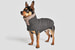 Немецкая марка Cloud7 – один из ведущих производителей собачьих коллекций