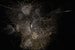 Для павильона Bvlgari художик Томас Сарацено символически изобразил диалог Земли и Вселенной, вдохновившись космическим происхождением золота, впервые попавшего на Землю с метеоритным дождем четыре миллиарда лет назад