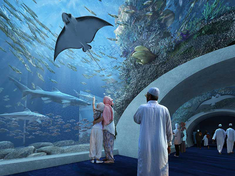 Аквариум Oman Aquarium