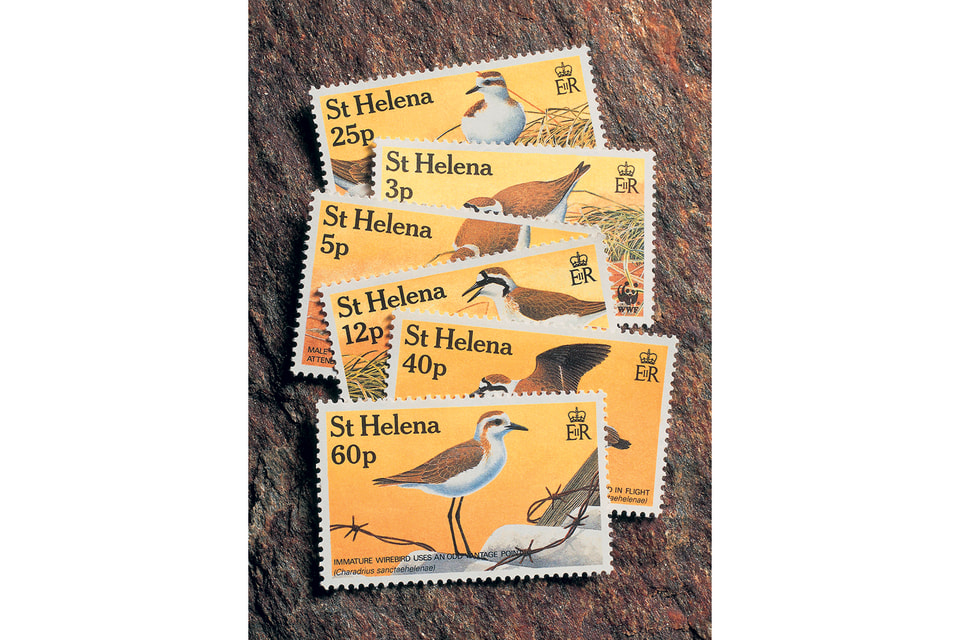 Серия марок с изображением зуйка острова Св. Елены, птицы-символа этого места