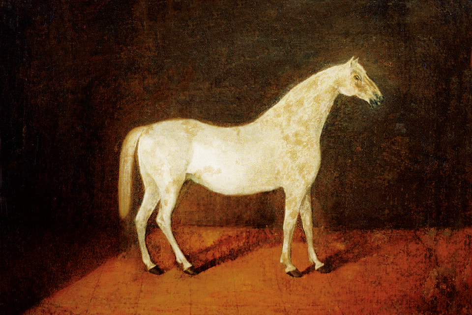 Прародитель орловского рысака серебристо-белый   арабский жеребец Сметанка – самая дорогая лошадь в истории России