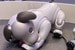 Собака-робот Aibo от SonyПроект игрушечных роботизированных собак был начат японской корпорацией еще 20 лет назад: именно в 1999 году вышло первое «животное» серии Aibo. Уже тогда собака произвела фурор — ничего подобного на рынке не было, как, впрочем, и сейчас. В прошлом году вышла обновленная модель, Aibo ERS-1000, уже куда сильнее похожая на реального питомца (хотя шерстью она таки и не обзавелась). У девайса есть 20 степеней свободы и куча датчиков (температуры, расстояния, ускорения, сенсорные и вибрации), с помощью которых он коммуницирует с хозяином и окружающим миром. Есть также видеокамера, микрофоны и громкоговоритель. Суть проста: робот распознает команды и лица людей, воспринимает поглаживания и учится на основе всех своих действий. Он может играть, просить есть, отправляться спать (на подзарядку). Программное обеспечение может как имитировать «взрослую собаку» — тогда она сразу использует все свои функции, так и «щенка», который раскрывает свои возможности постепенно.