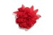 Брошь Camelia от Chanel из красного муслина из коллекции весна-лето 2020