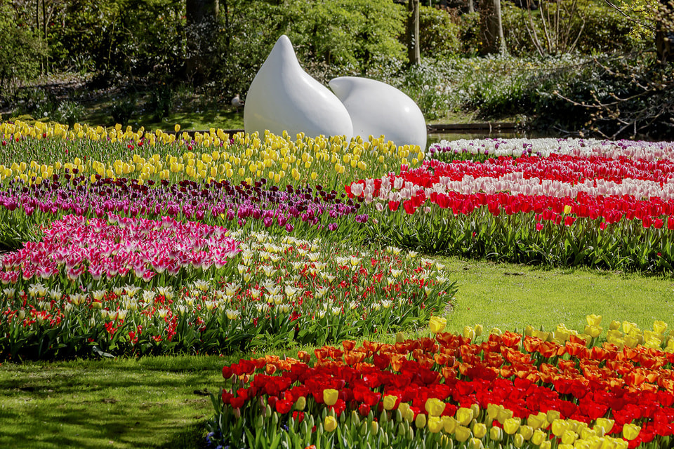 Всемирный день цветов отмечают ежегодно 21 июня. На фото – парк Кекенхоф в Нидерландах