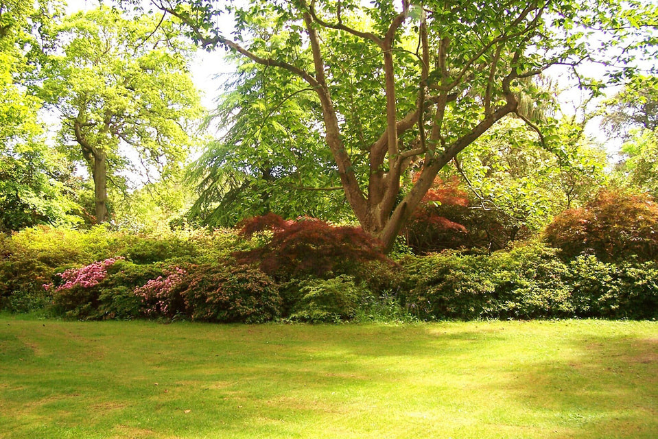 Английский парк Эксбери расположен на месте одноименной заброшенной деревушки