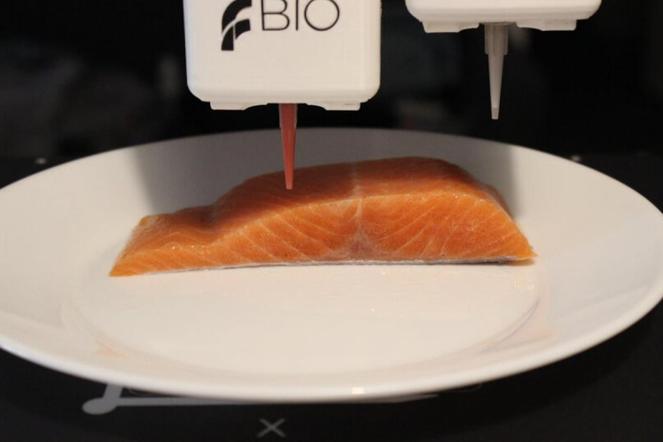 Компания Legendary Vish (Австрия) разработала технологию 3D-печати веганского лосося