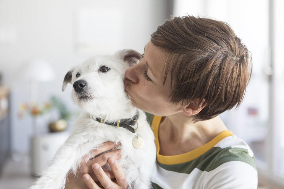 72% владельцев собак и кошек планируют совместную новогоднюю фотосессию с любимыми животными