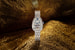 Часы Bvlgari Serpenti Seduttori Tourbillon – самые  маленькие в мире женские часы с турбийоном, новый рекорд римского Дома