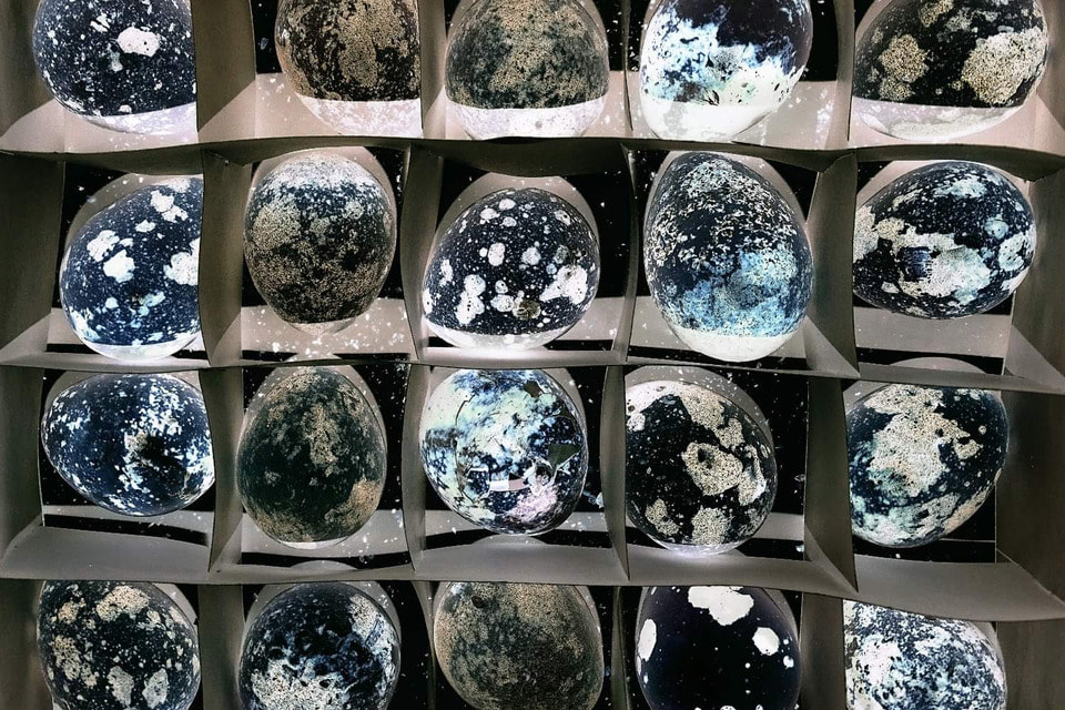 Работа «Вселенные по полочкам» художника Жени Миронова отвечает космической теме аукциона Phantasma