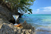 Отель Jamaica Inn – одно из излюбленных мест Флеминга на Ямайке, упоминающееся также и в его романах. Именно здесь писатель, по слухам, придумал рецепт легендарного коктейля Vesper Martini, появившегося впервые на страницах «Казино «Рояль». Гости отеля могут научиться делать коктейль у лучших барменов по оригинальному рецепту:•три части джина Gordon’s•одна часть водки•1/2 части Kina Lillet (или другого хорошего сухого вермута)Следует смешать все ингредиенты в коктейльном шейкере со льдом, после чего встряхнуть, чтобы остудить. Затем перелейте в бокал для мартини и украсьте оливками или цедрой лайма.
