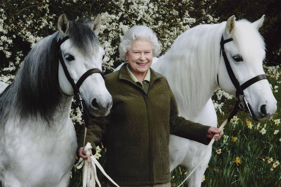 Королева Великобритании Елизавета II со своими лошадьми