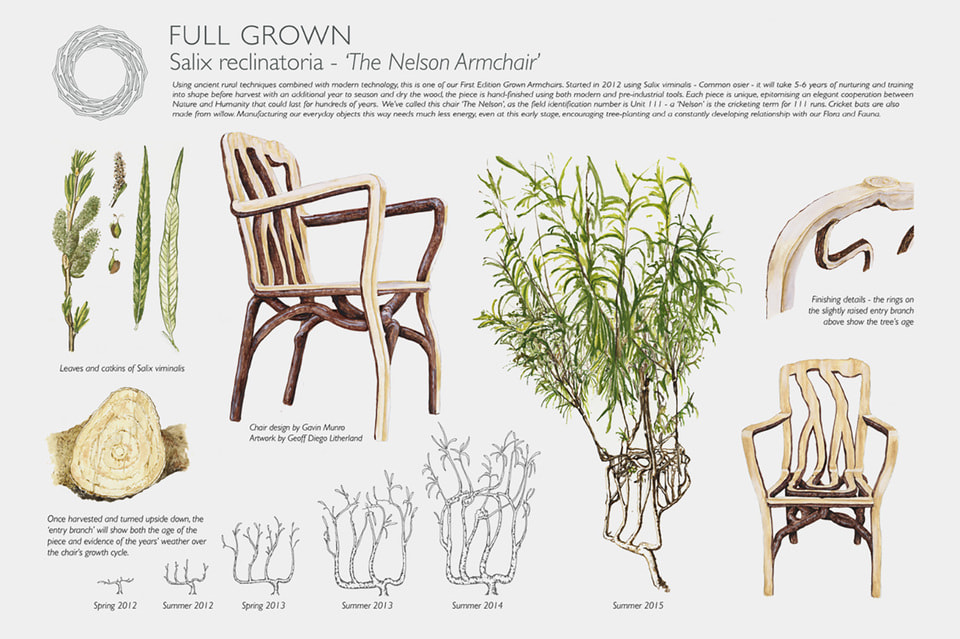 История «выращивания» кресла «Нельсон» 