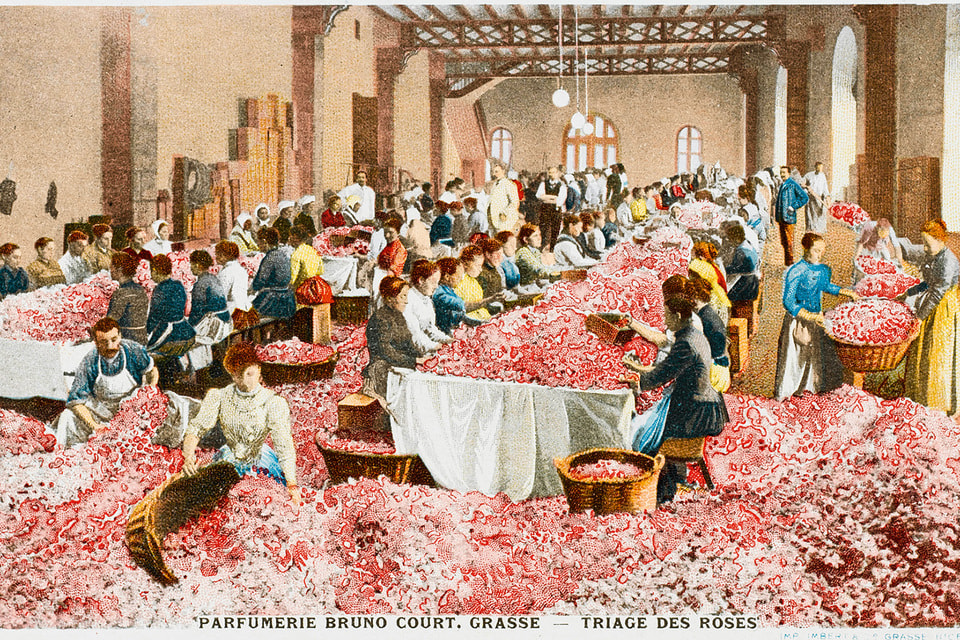 Так выглядел один из цехов парфюмерной фабрики в Грассе (1898 г.)