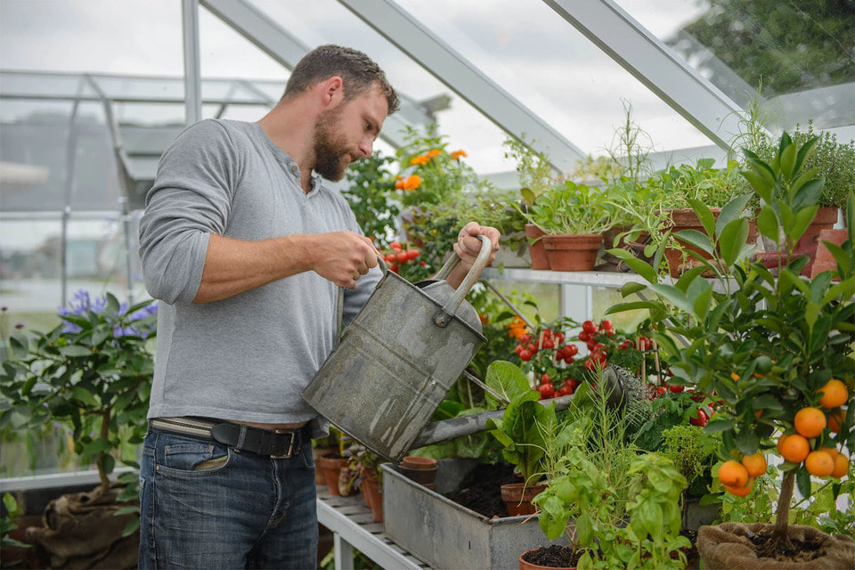 Эксперты отмечают рост интереса к выращиванию растений в домашних условиях, в том числе в небольших теплицах в квартирах
