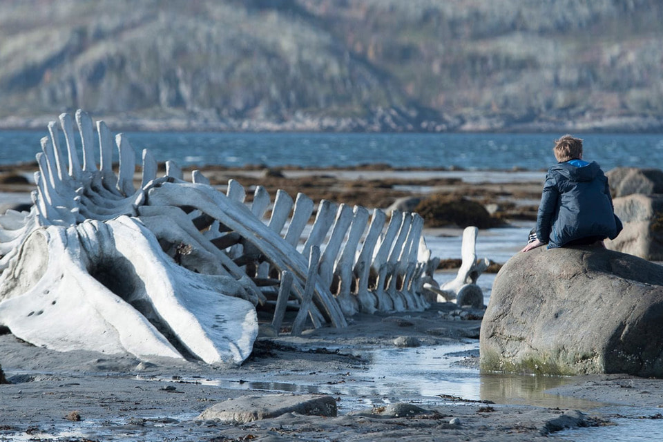 Скелет кита весом в 1,5 тонны был изготовлен специально для фильма 