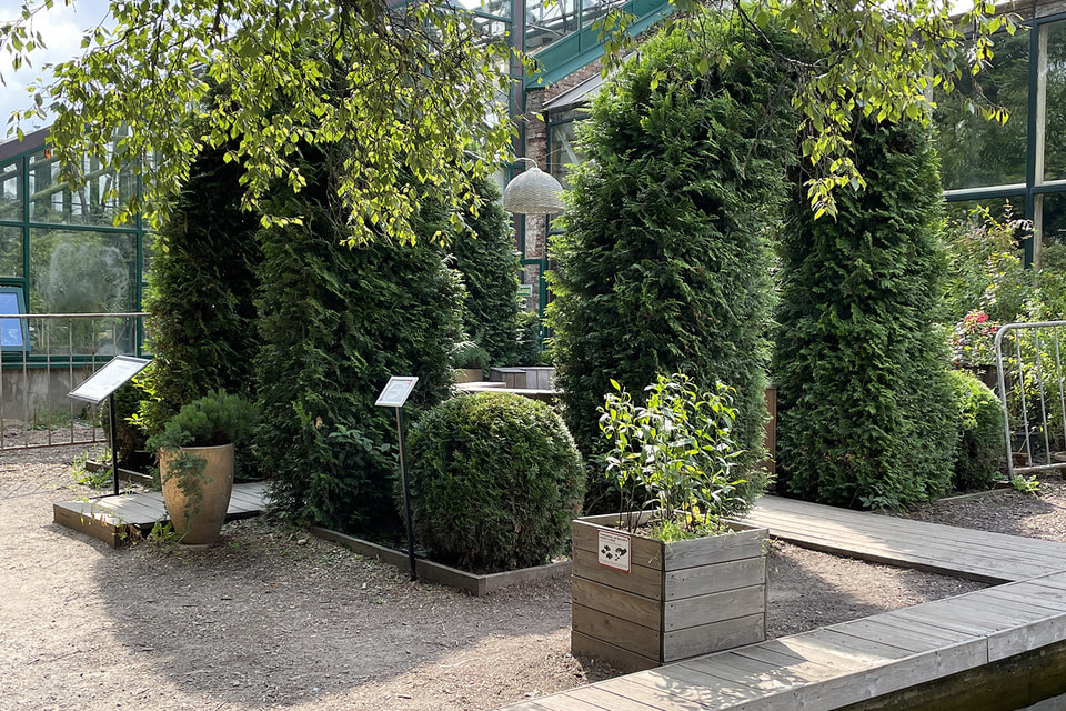 Сегодня сад занимает пятое место в топ-5 самых фотографируемых мест в столице. Это второе по популярности зеленое пространство в Москве после Парка им. Горького.