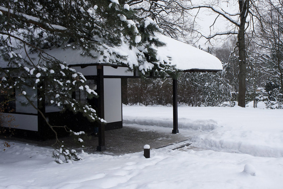 Обычно Японский сад открыт с конца апреля до середины октября, но теперь в него можно попасть и зимой 