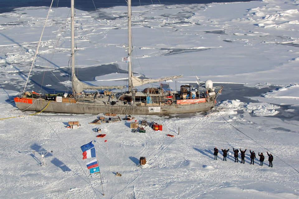 Фонд Tara Ocean проводит исследования в Арктике на борту дрейфующего судна