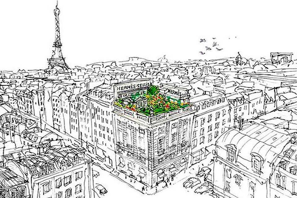 Пчелиное хозяйство Дома Hermes расположилось на крыше парижского офиса компании